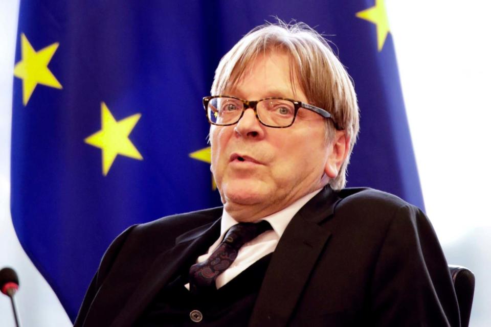 European Parliament Brexit chief Guy Verhofstadt has said he is 'absolutely not positive' about the PM's proposal. (AP)