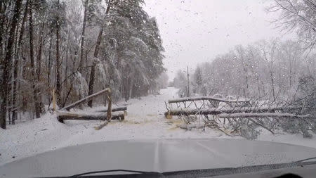 A car prepares to pass through after a man cut a fallen tree blocking a road in Landrum, South Carolina, U.S., December 9, 2018 in this still image from video obtained from social media. Off-Road Adventures/via REUTERS