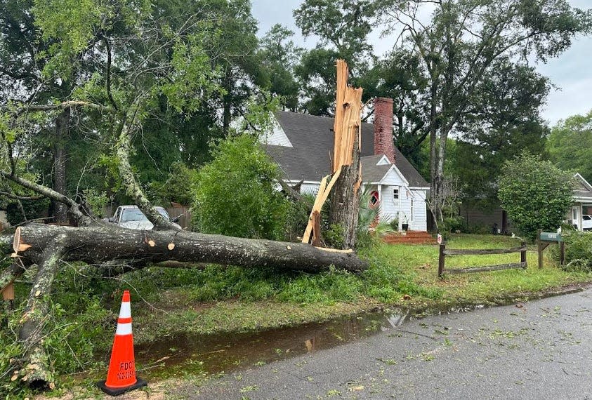 Storm damage on a residential street in Crestview on Friday.