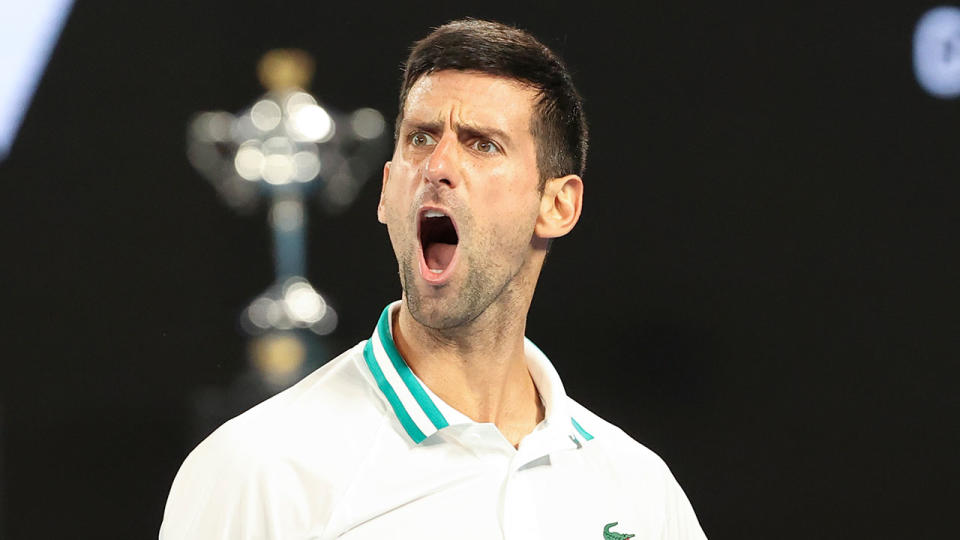 Seen here, Novak Djokovic celebrates during his Australian Open semi-final win.