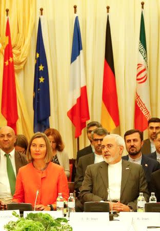 European Union High Representative for Foreign Affairs and Security Policy Federica Mogherini and Iran's Foreign Minister Mohammad Javad Zarif attend a meeting in Vienna, Austria July 6, 2018. REUTERS/Leonhard Foeger