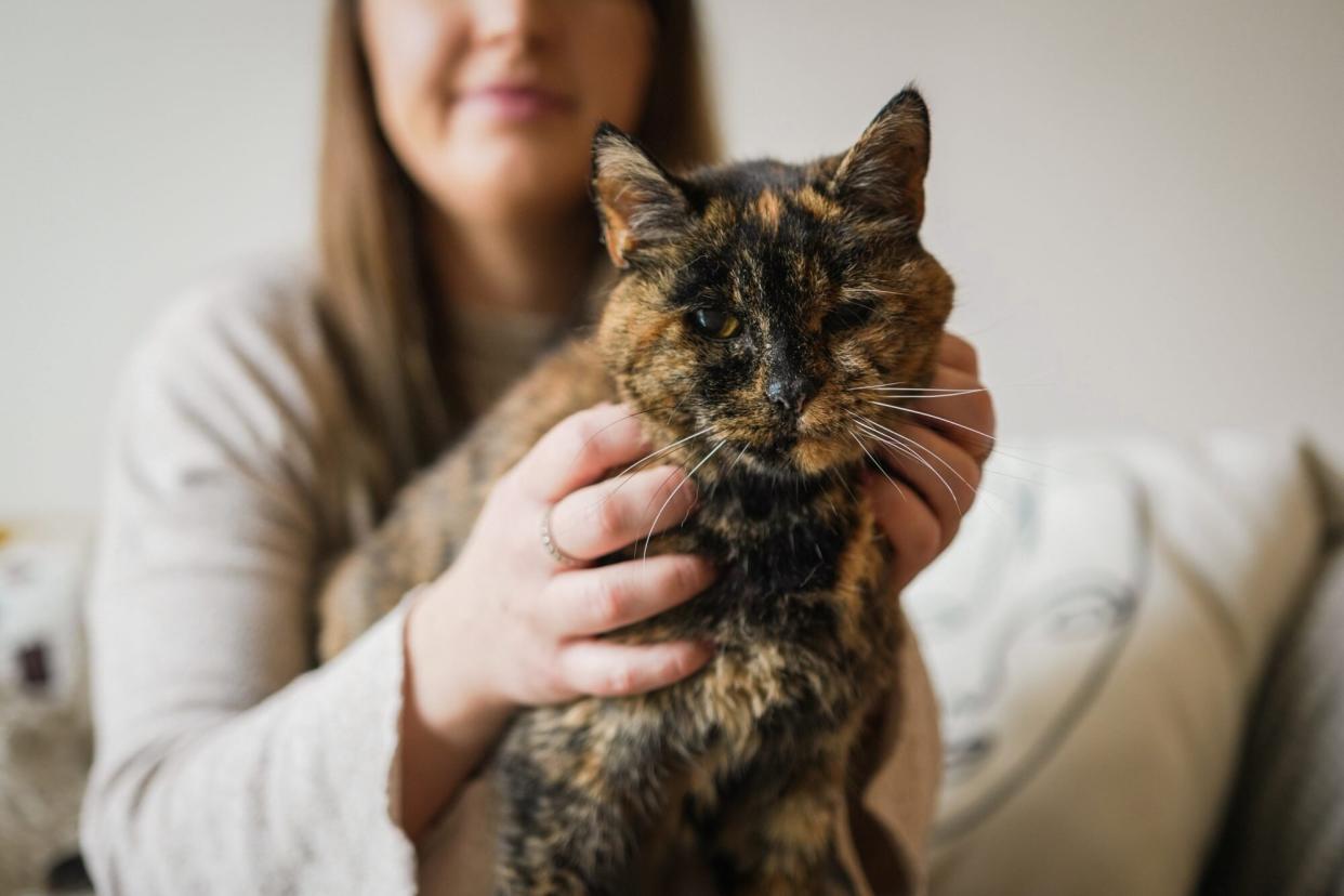 GUINNESS WORLD RECORDS Oldest Cat Flossie the cat from Orpington, London achieved the Guinness World Records title Oldest Cat at 26 years and 316 days old on the 10th November 2022. Credit: Cats Protection / Guinness World Records NO ARCHIVE/NO SALES