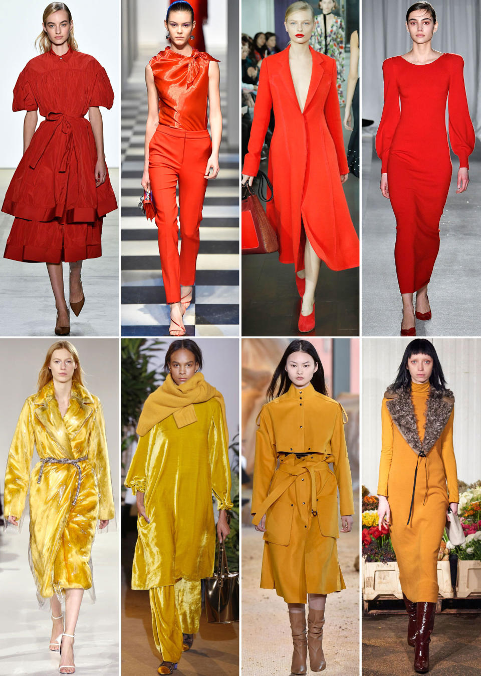 Ketchup vs. Mustard