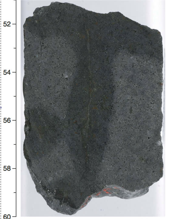 A basalt rock containing microbial life from deep within Earth's crust. The fine crack in the middle is a vein that remained free of contamination during the drilling process. The darker area surrounding it indicates water diffusing from the ve