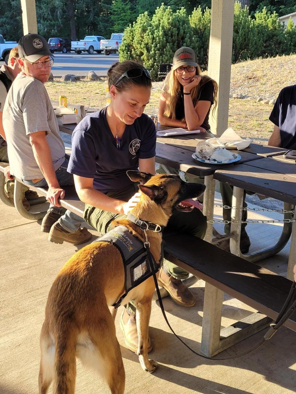The fire team pets Bliss, the female Belgian Malanois therapy dog from the DoveLewis Portland Area Canine Therapy Team. The dog made an appearance at the fire camp Thursday night.