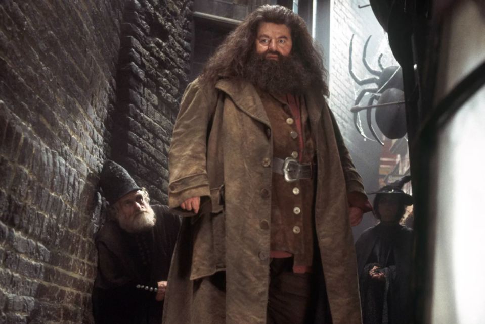 Robbie Coltrane was well-known for playing the role of Hagrid in the Harry Potter films (Warner Bros)