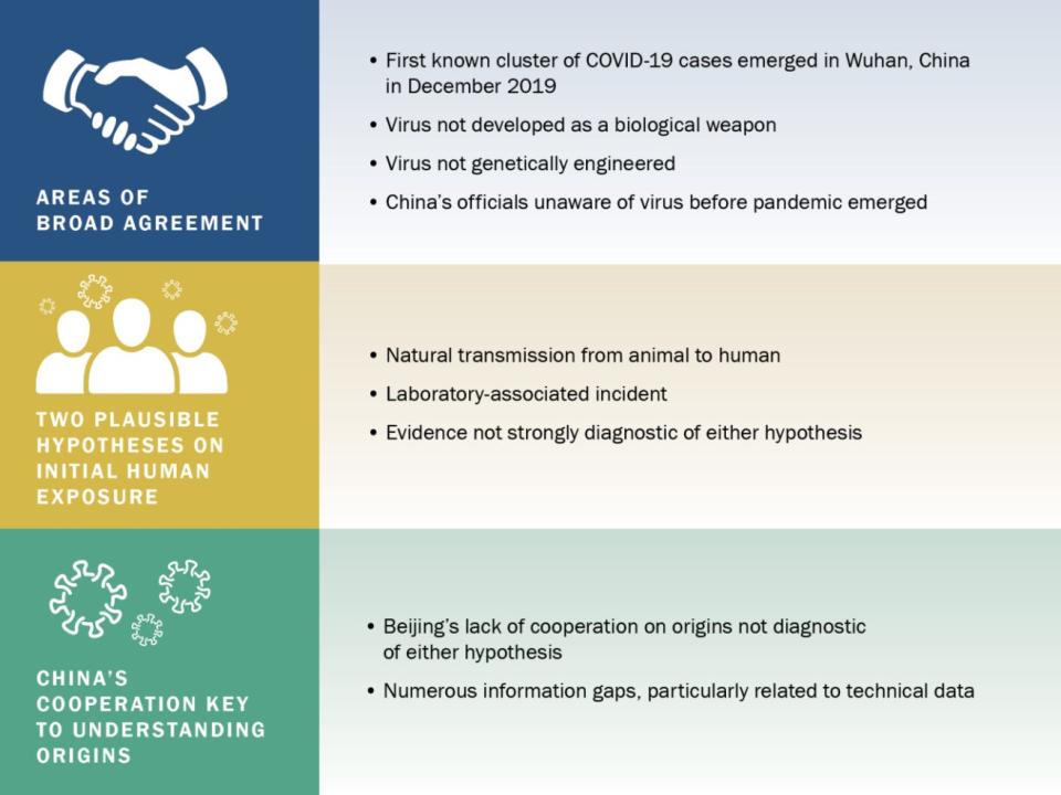 Infographic from the ODNI report on COVID-19