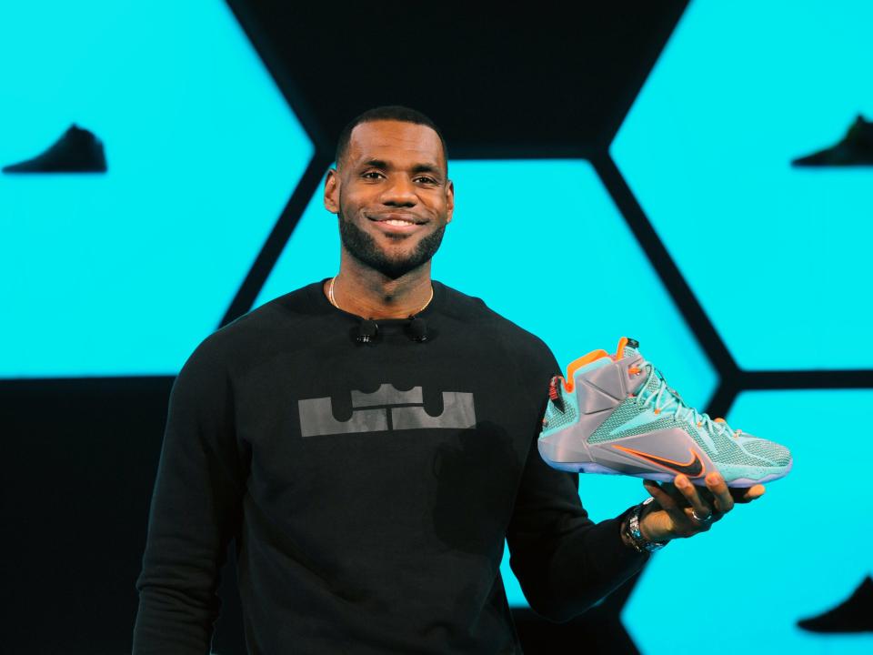 LeBron James Nike