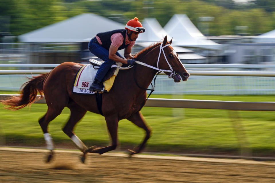 Preakness Stakes entrant Mage, the Kentucky Derby winner, works out ahead of the 148th running of the Preakness Stakes horse race at Pimlico Race Course, Wednesday, May 17, 2023, in Baltimore. (AP Photo/Julio Cortez)