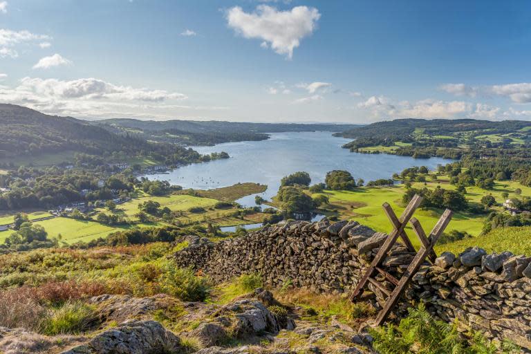 Britain’s national parks ‘risk losing UN nature reserve status’ because wildlife dying out so fast