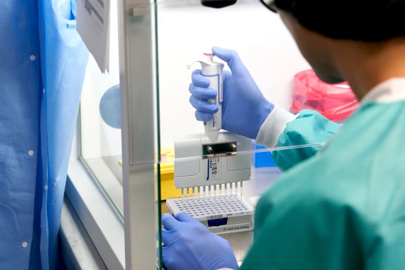 FILE PHOTO: RealTime Laboratories testing samples for the coronavirus disease (COVID-19) in Carrollton, Texas