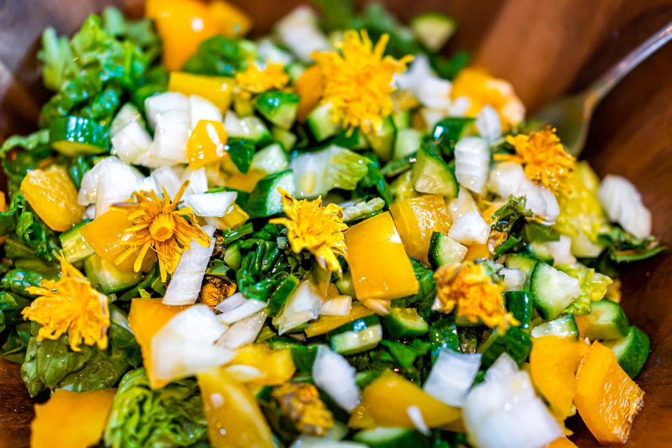 Closeup macro of raw chopped vegetable salad with dandelion flowers, greens, yellow bell peppers and fork in lettuce showing texture