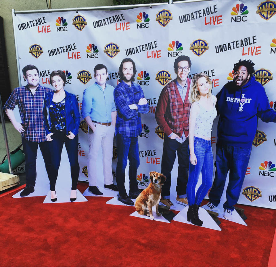 Red Carpet Photo Op