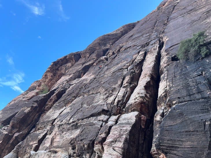 Alex Honnold free soloing on the HURT