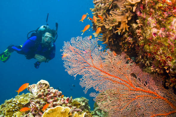 Great barrier reef