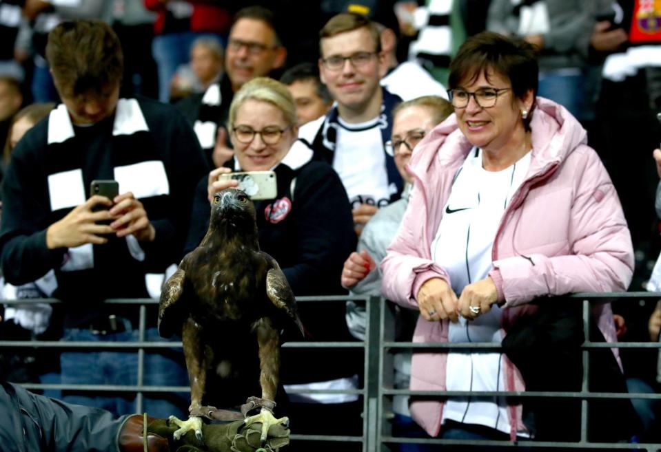 Frankfurt's eagle - Kieran McManus/Shutterstock 