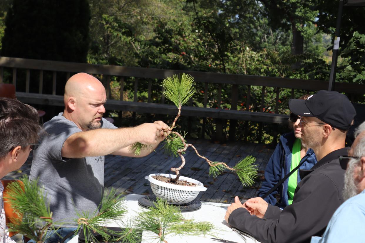 The Columbus Bonsai Society will hold its 51st annual show at Dawes Arboretum on Saturday and Sunday.