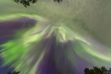 FILE PHOTO - The Aurora Borealis (Northern Lights) is seen over the sky near the village of Pallas (Muonio region) of Lapland, Finland September 8, 2017. REUTERS/Alexander Kuznetsov/All About Lapland