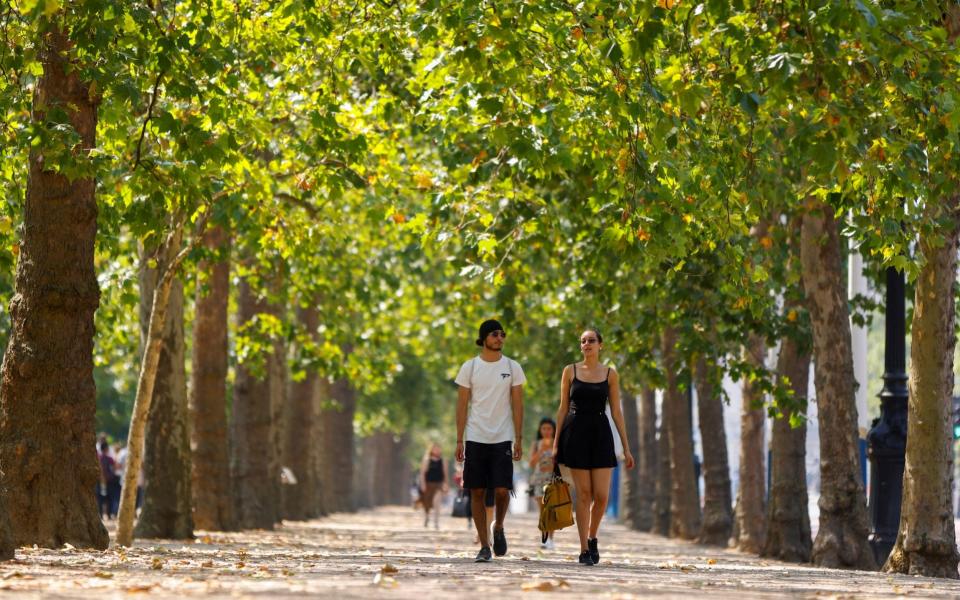 People walking through St James's Park in central London - JOHN SIBLEY