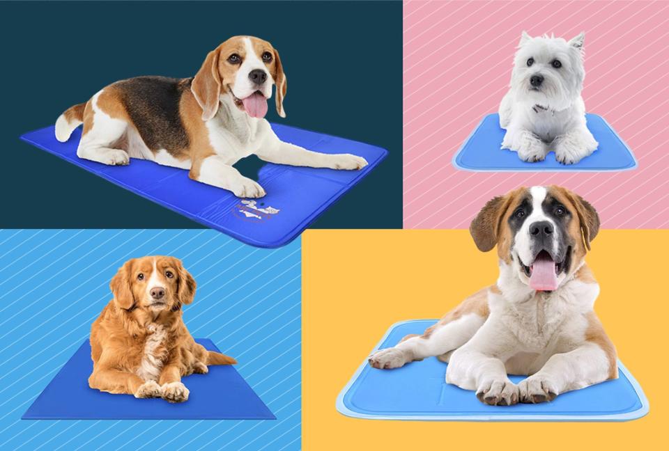 8 Best Cooling Mats for Dogs