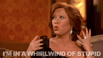 Caroline Manzo saying "I'm in a whirlwind of stupid"