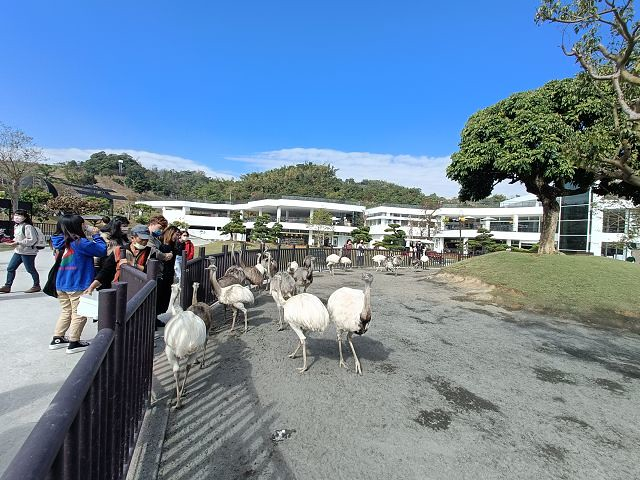 九九峰動物樂園07