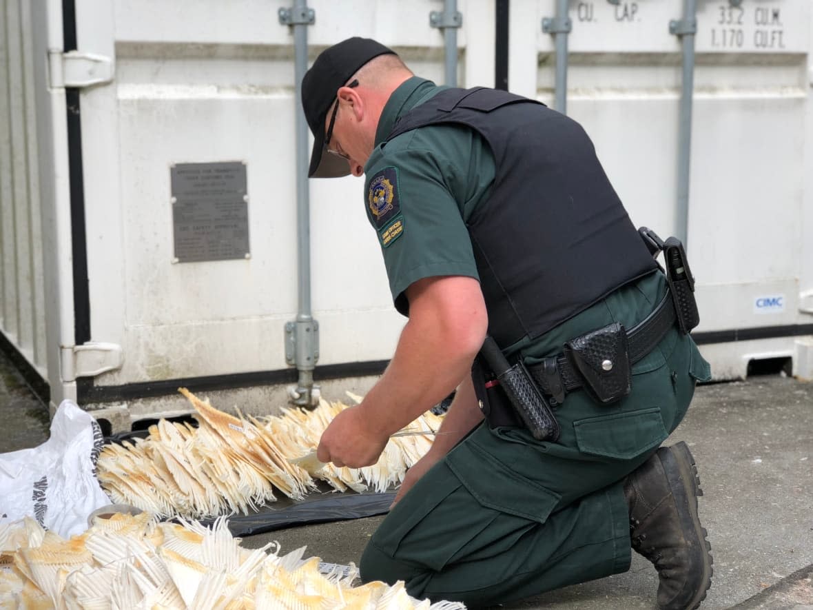 An environmental enforcement officer tours a site in this stock image from Environment and Climate Change Canada.  (Environment and Climate Change Canada - image credit)