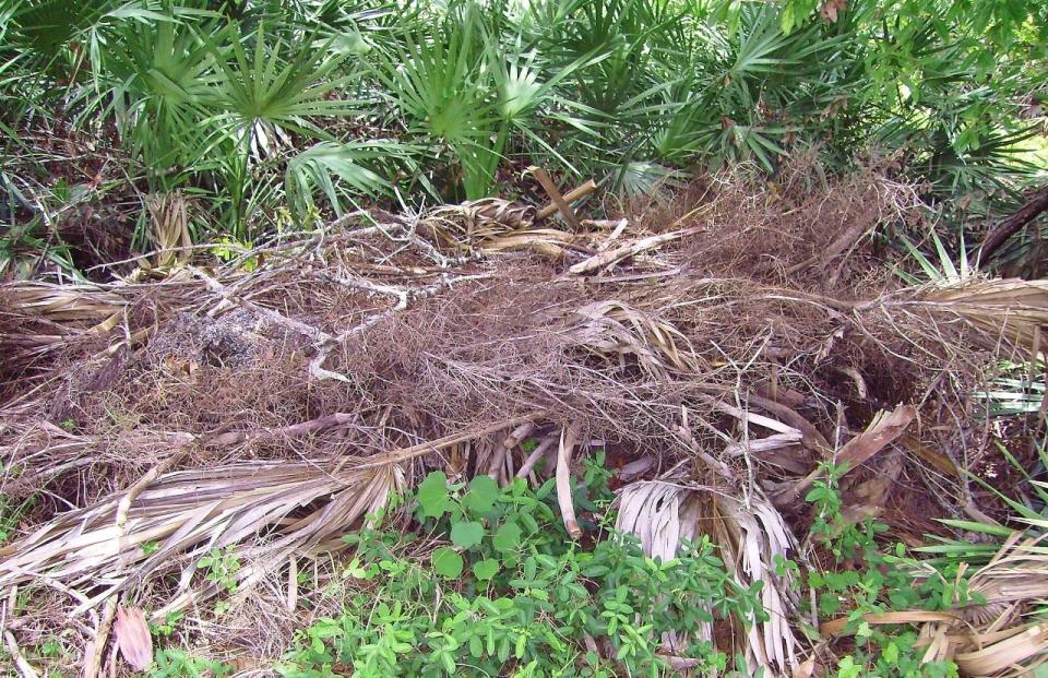 A brush pile is just one way to provide shelter and haven for many critters. Plan to provide shelter, food, and water to attract wildlife to your garden.