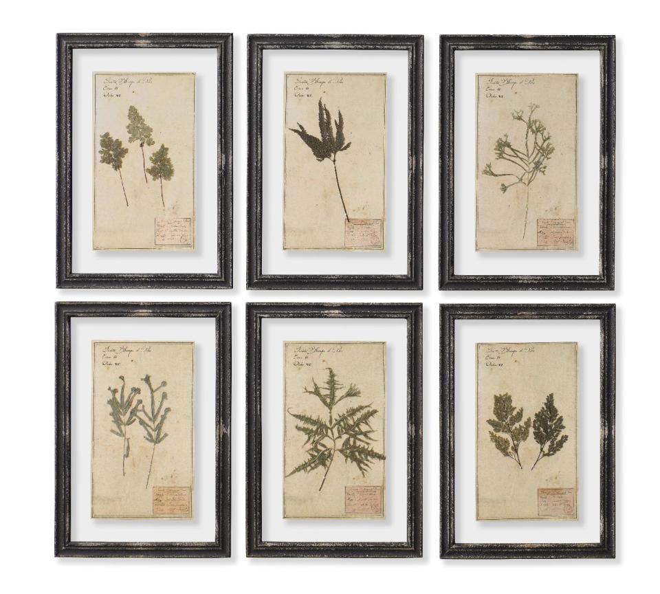 This publicity photo provided by Restoration Hardware shows 19th century framed herbarium prints mounted under glass from Restoration Hardware. Framing ephemera is a creative way to use paper as wall art (www.rh.com). (AP Photo/Restoration Hardware)