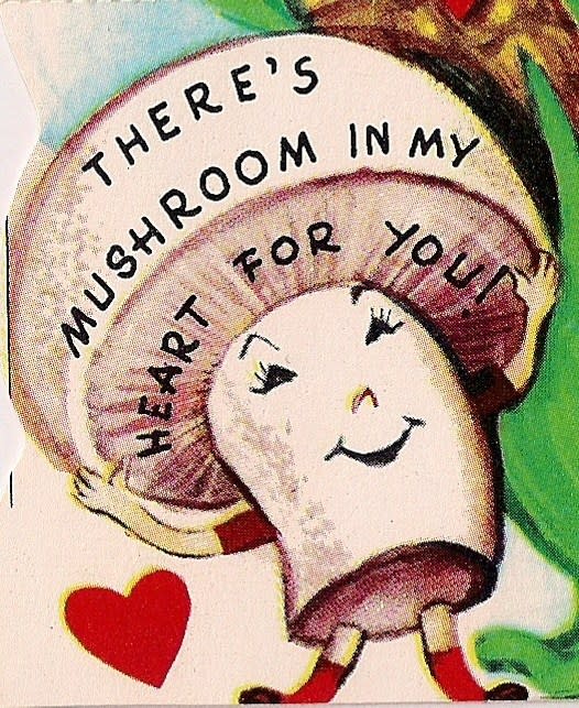 Mushroom In My Heart