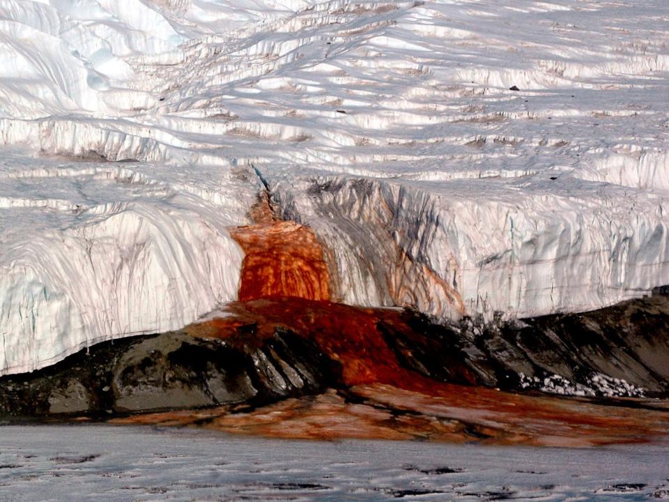 Rusty-colored falls set themself apart from a snow-white glacier.