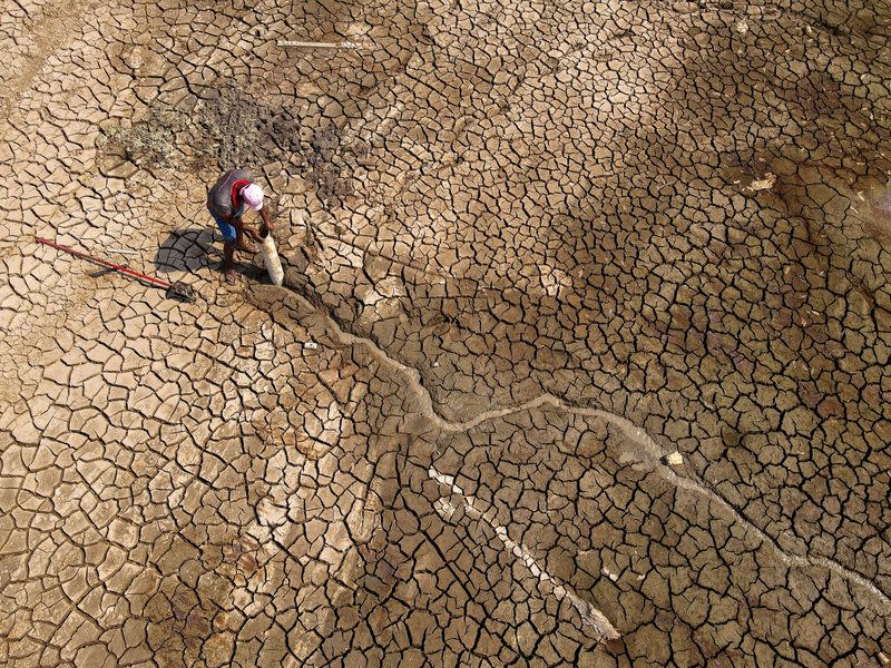 Amazon rainforest's historic drought in Brazil