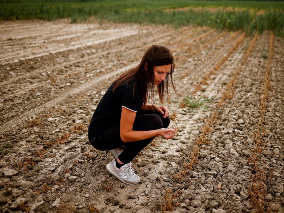 woman crouches in dry cracked field filled with small withered brown plants