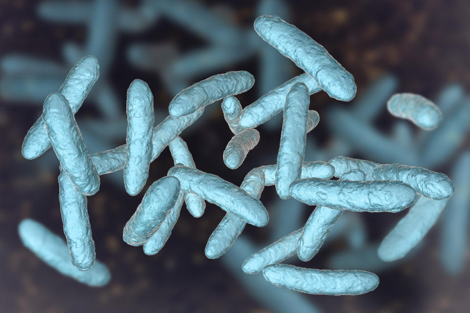 Probiotic bacteria, normal intestinal microbiota, 3D illustration. Bacteria used as probiotic treatment, yoghurts, healthy food