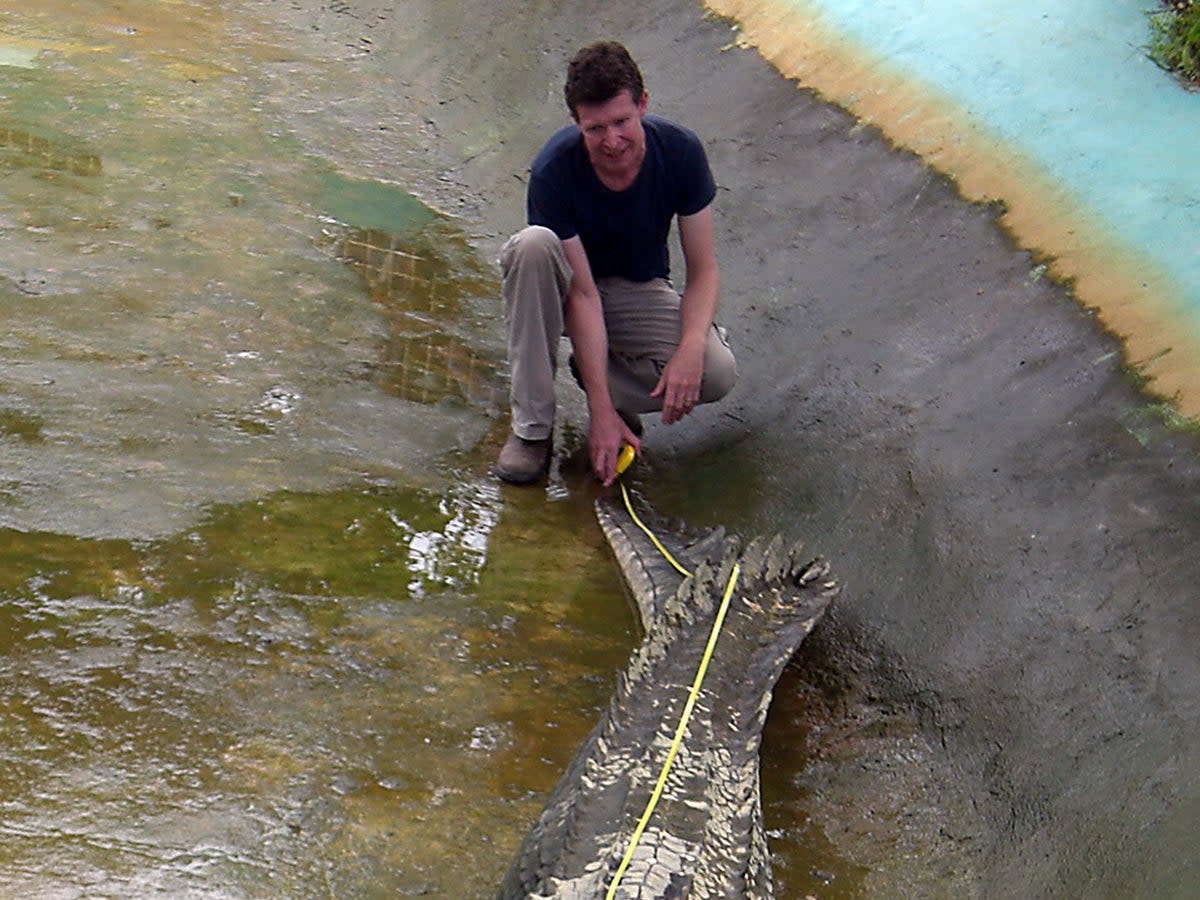 Adam Britton measures a captive crocodile on the Philippines island of Mindanao in 2011 (AFP via Getty)