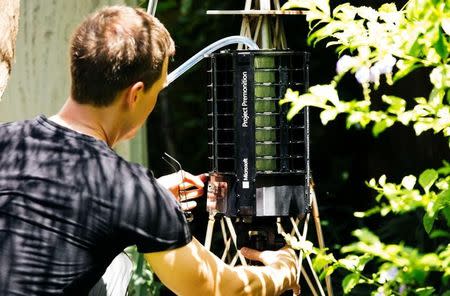Researcher Ethan Jackson places the Project Premonition mosquito trap in the wild in this handout photo obtained by Reuters June 30, 2017. Microsoft/Handout via REUTERS