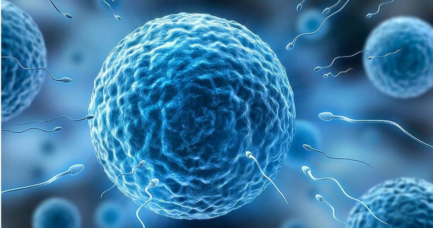 科學家發現人類精子的活動力、游泳能力在近6年下滑。（示意圖／Pixabay）