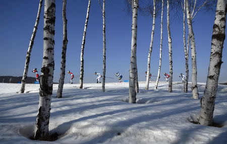 Marit Bjoergen of Norway leads the pack in the women's 30km cross-country mass start classic. REUTERS/Toby Melville