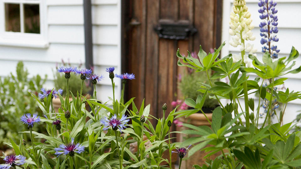 3. Frame your porch with pretty flowers