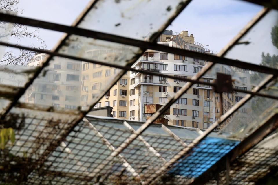 Buildings are seen through a damaged greenhouse roof.