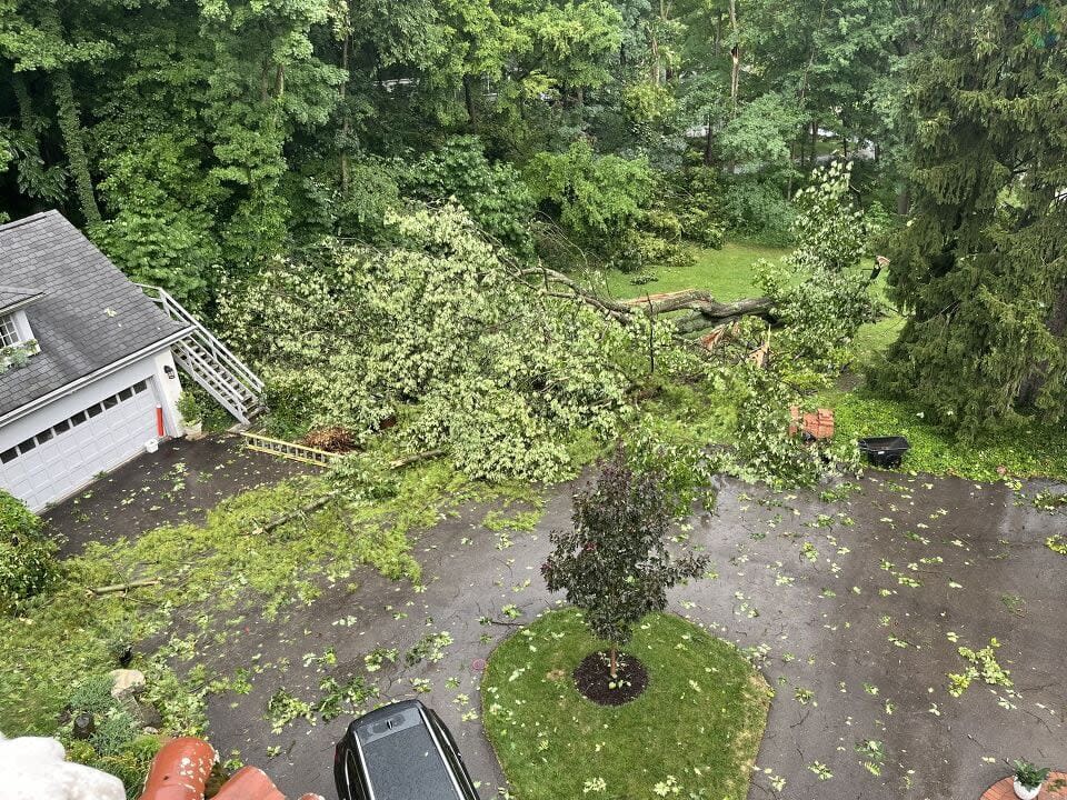 Storm Damage in the Miami Valley