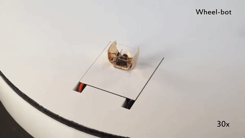 This exoskeleton turns the Cube-bot into a Wheel-bot.