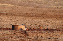 A kangaroo drinks from a water tank located in a drought-effected paddock on farmer Ash Whitney's property, located west of the town of Gunnedah in north-western New South Wales, in Australia, June 3, 2018. Picture taken June 3, 2018. REUTERS/David Gray