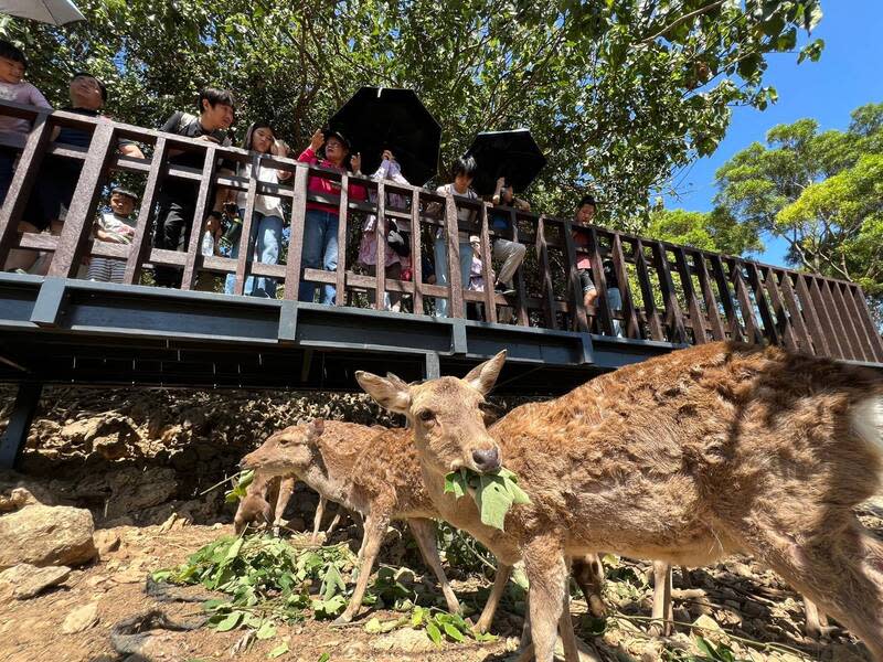 高雄壽山動物園連假遊客多 兒童節連假期間，高雄市天氣晴朗，壽山動物園等多 處景點湧現人潮。 （高雄市觀光局提供） 中央社記者蔡孟妤傳真  113年4月7日 