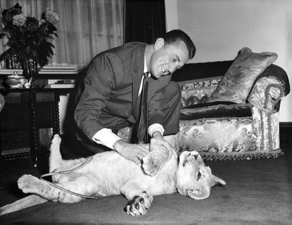 <p>Douglas plays with a lion cub named Spartacus in honor of his iconic film role. </p>