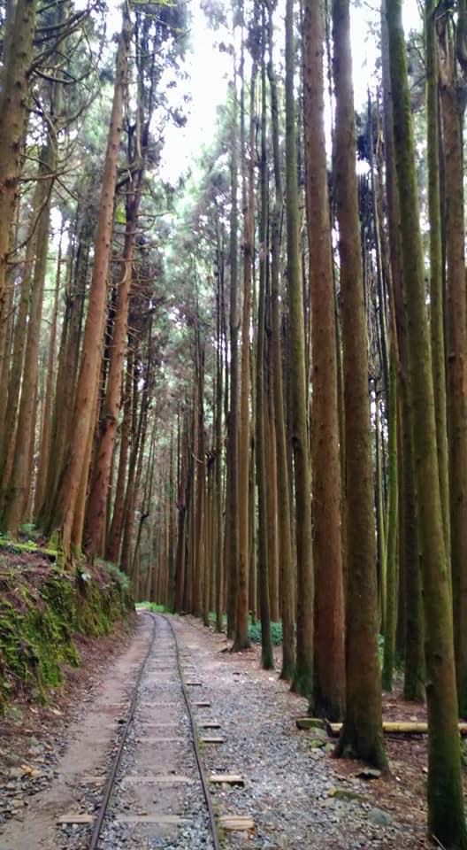 特富野古道是國家級自然步道。（中華旅行社提供）