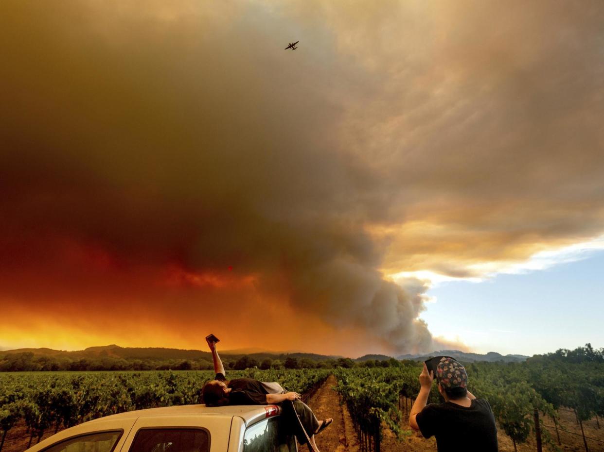 Several dozen wildfires have burned thousands of square kilometres across California: AP
