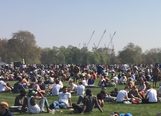 Large crowds gathered in the park (Jacob Jarvis)