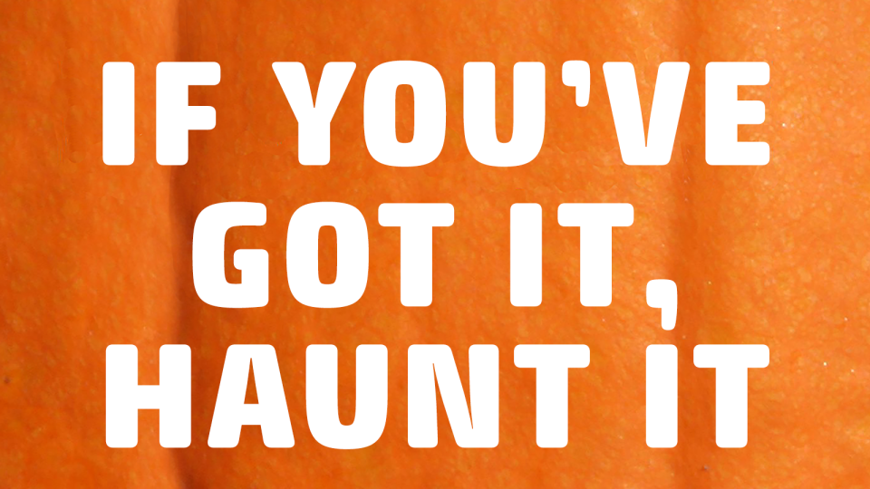 pumpkin puns if you've got it haunt it