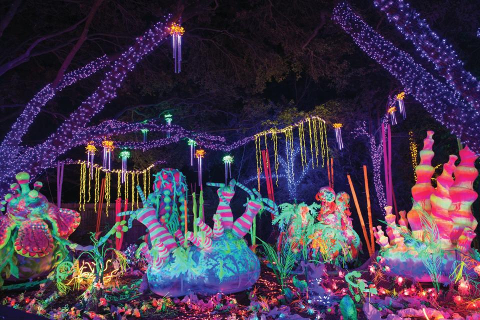 Houston Zoo Lights in Houston, Texas